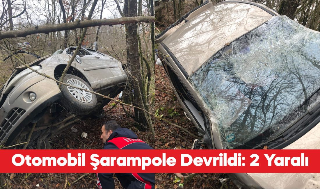 Kırklareli’nin Vize ilçesinde otomobilin şarampole devrilmesi sonucu 2 kişi yaralandı.