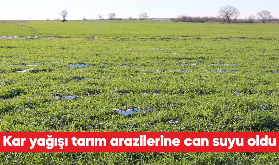 Edirne, Kırklareli ve Tekirdağ’da etkili olan kar yağışı, buğday ve