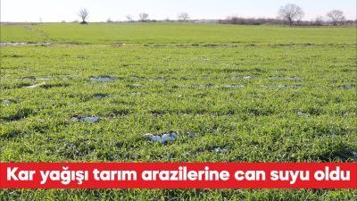 Edirne, Kırklareli ve Tekirdağ’da etkili olan kar yağışı, buğday ve