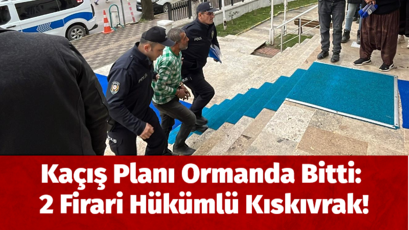Edirne’de yurt dışına kaçmaya çalışan 2 firari hükümlü saklandıkları ormanlık