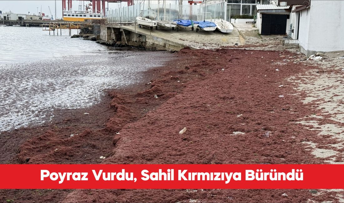 Tekirdağ’da kuvvetli rüzgar nedeniyle sahilin