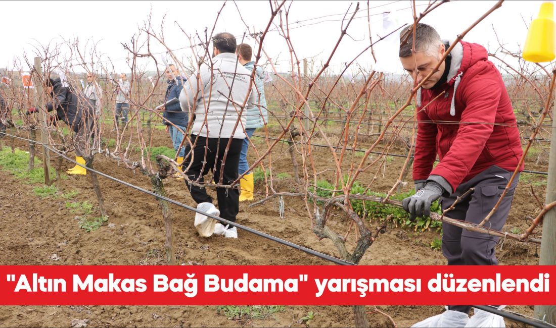 Tekirdağ’da bu yıl ikincisi düzenlenen