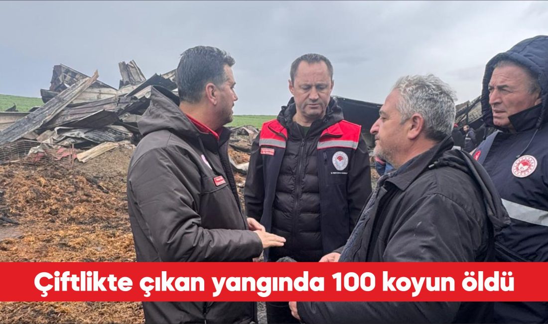 Tekirdağ’ın Ergene ilçesinde bir çiftlikte çıkan yangında 100 koyun öldü.