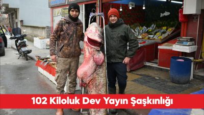Edirne’deki Meriç Nehri’nde 2 metre 40 santimetre boyunda ve 102