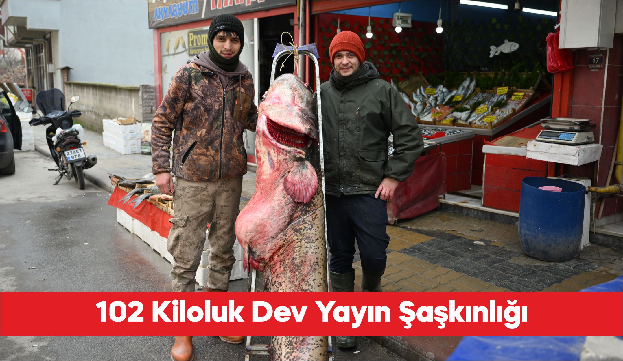 Edirne’deki Meriç Nehri’nde 2 metre 40 santimetre boyunda ve 102