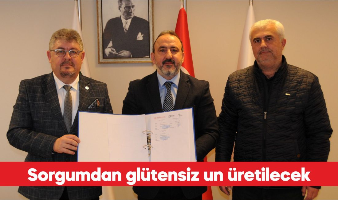 Tekirdağ’da hayata geçirilecek projeyle, kuraklığa dayanıklı sorgum bitkisi yem hammaddesi