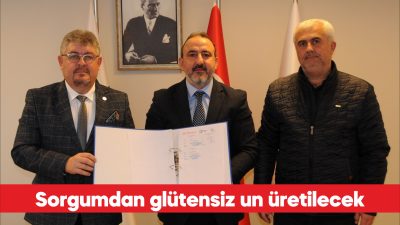 Tekirdağ’da hayata geçirilecek projeyle, kuraklığa dayanıklı sorgum bitkisi yem hammaddesi