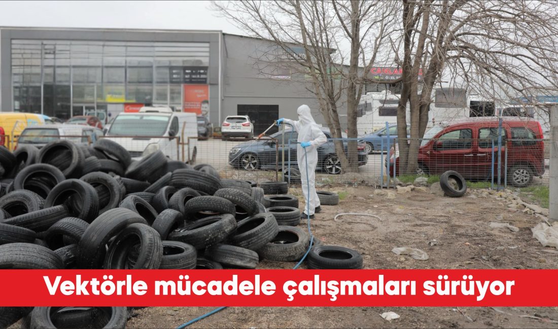 Edirne Belediyesi Veteriner İşleri Müdürlüğü