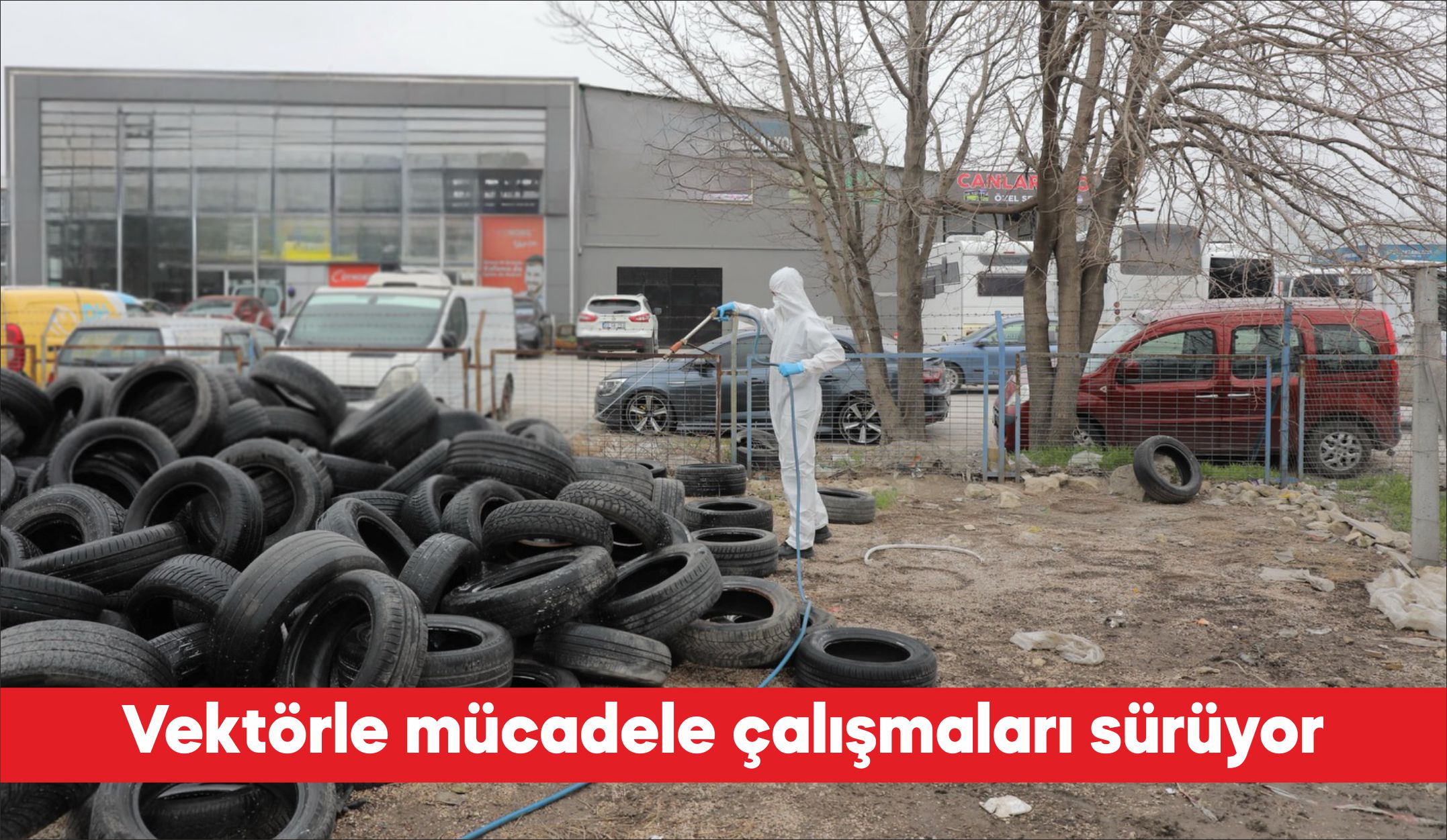 Edirne Belediyesi Veteriner İşleri Müdürlüğü ekiplerinin vektörle mücadele çalışmaları sürüyor.