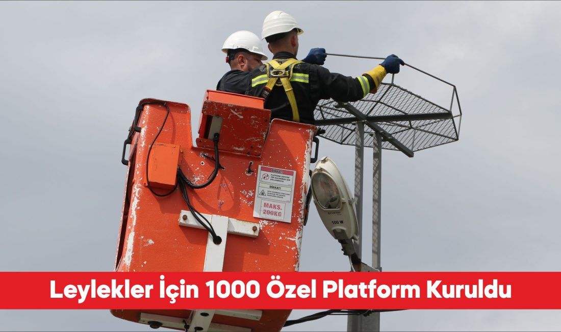 Trakya’da elektrik direklerine, leyleklerin akıma kapılmasını önlemek amacıyla 1000 özel