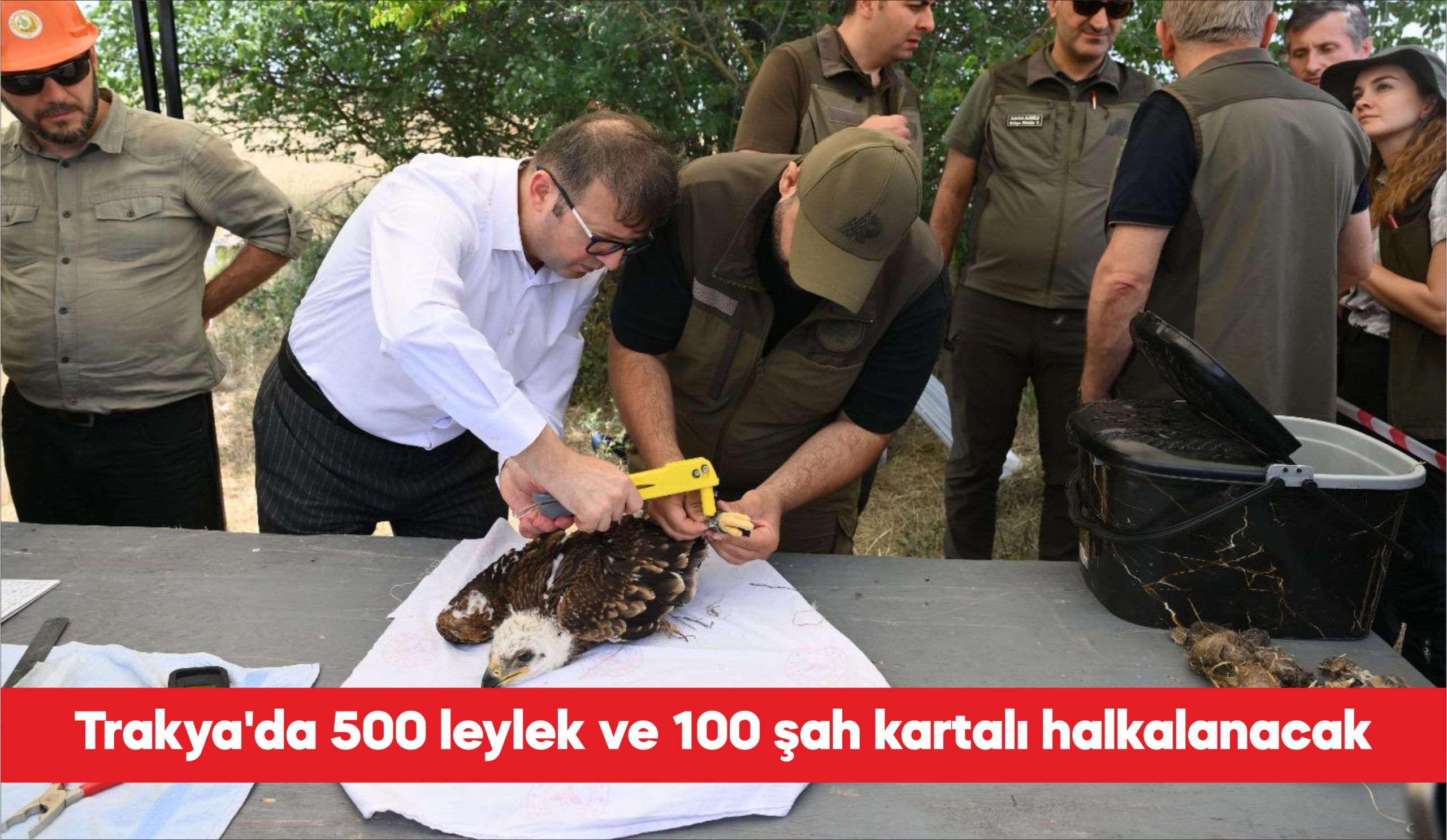 Trakya’da yürütülen “Trakya’nın Kuşlarını Halkalıyoruz” projesi kapsamında, 5 yıl içinde