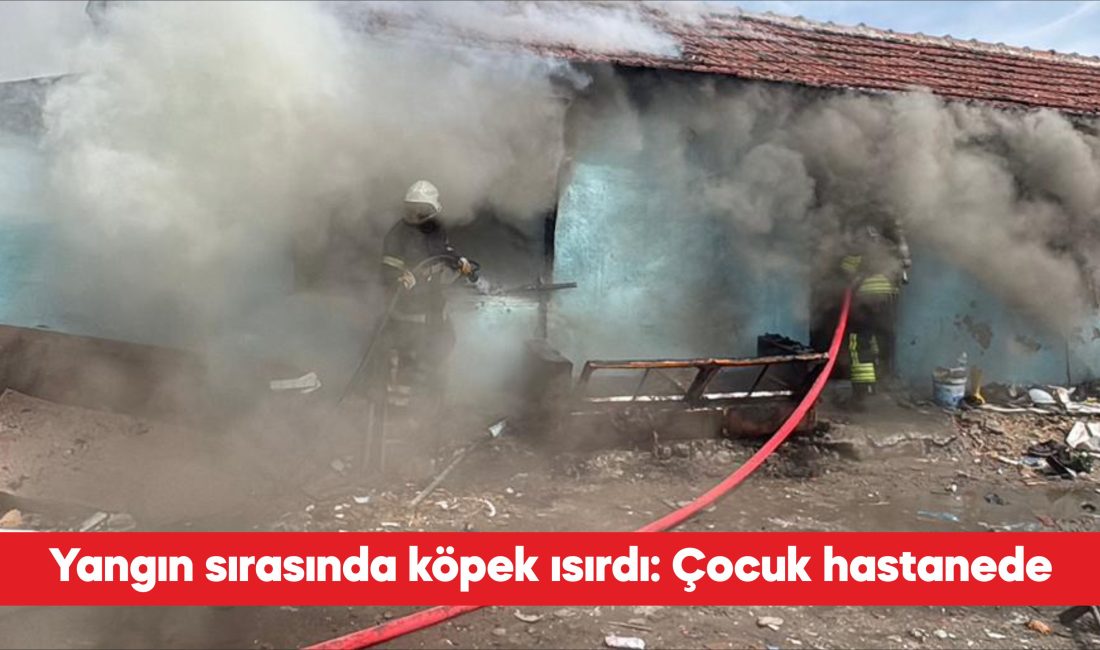 Tekirdağ’ın Çorlu ilçesinde çıkan ev yangını sırasında köpeğin ısırdığı 11