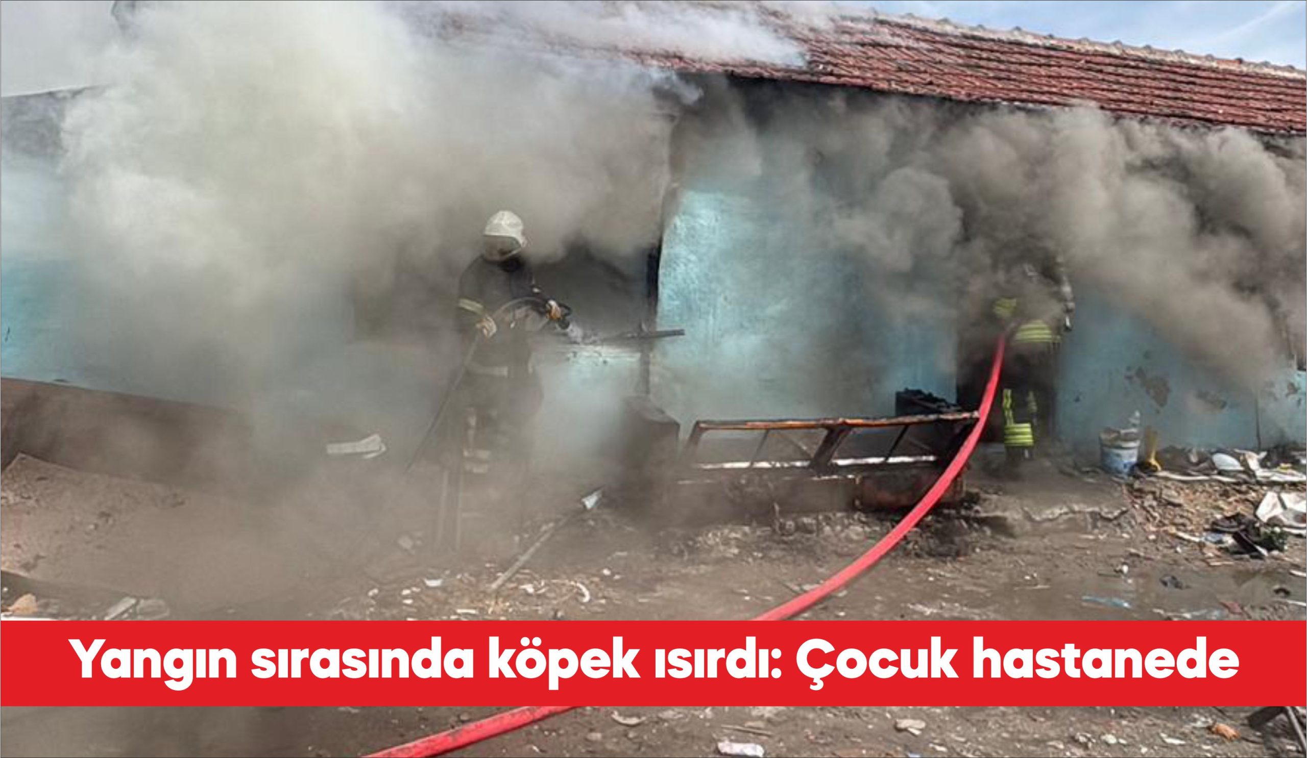 Tekirdağ’ın Çorlu ilçesinde çıkan ev yangını sırasında köpeğin ısırdığı 11