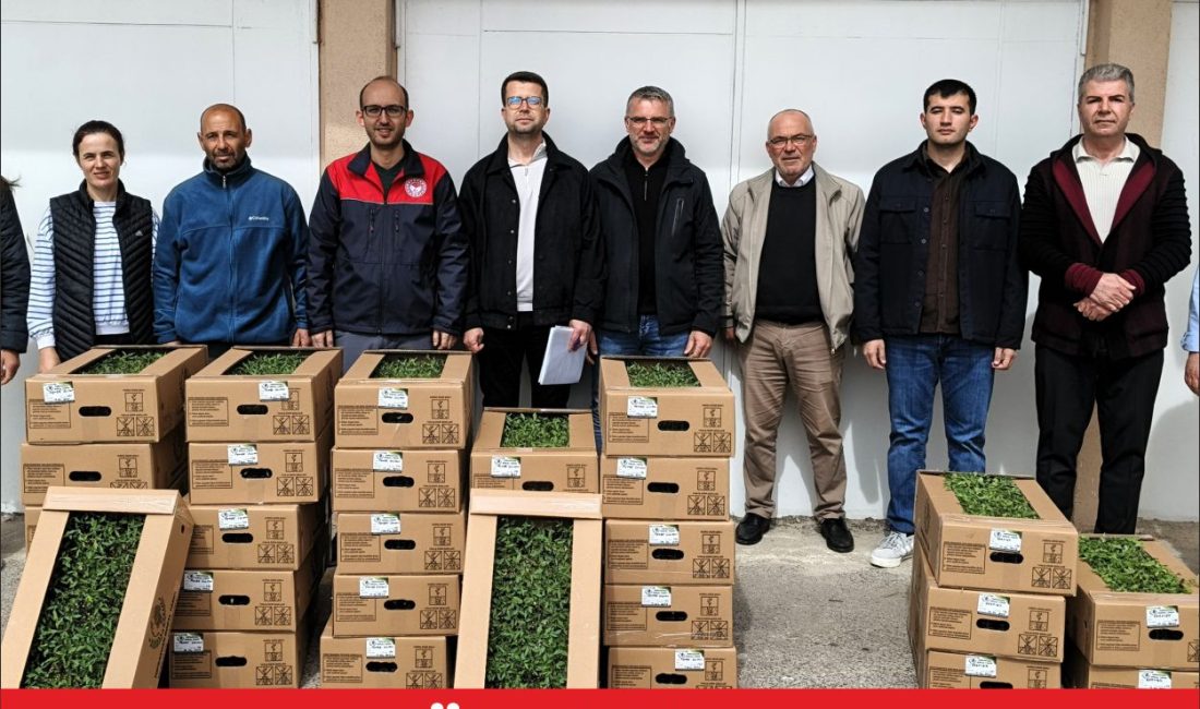 Kırklareli’nde 16 üreticiye yüzde 75 hibe destekli domates fidesi verildi.