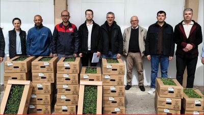 Kırklareli’nde 16 üreticiye yüzde 75 hibe destekli domates fidesi verildi.