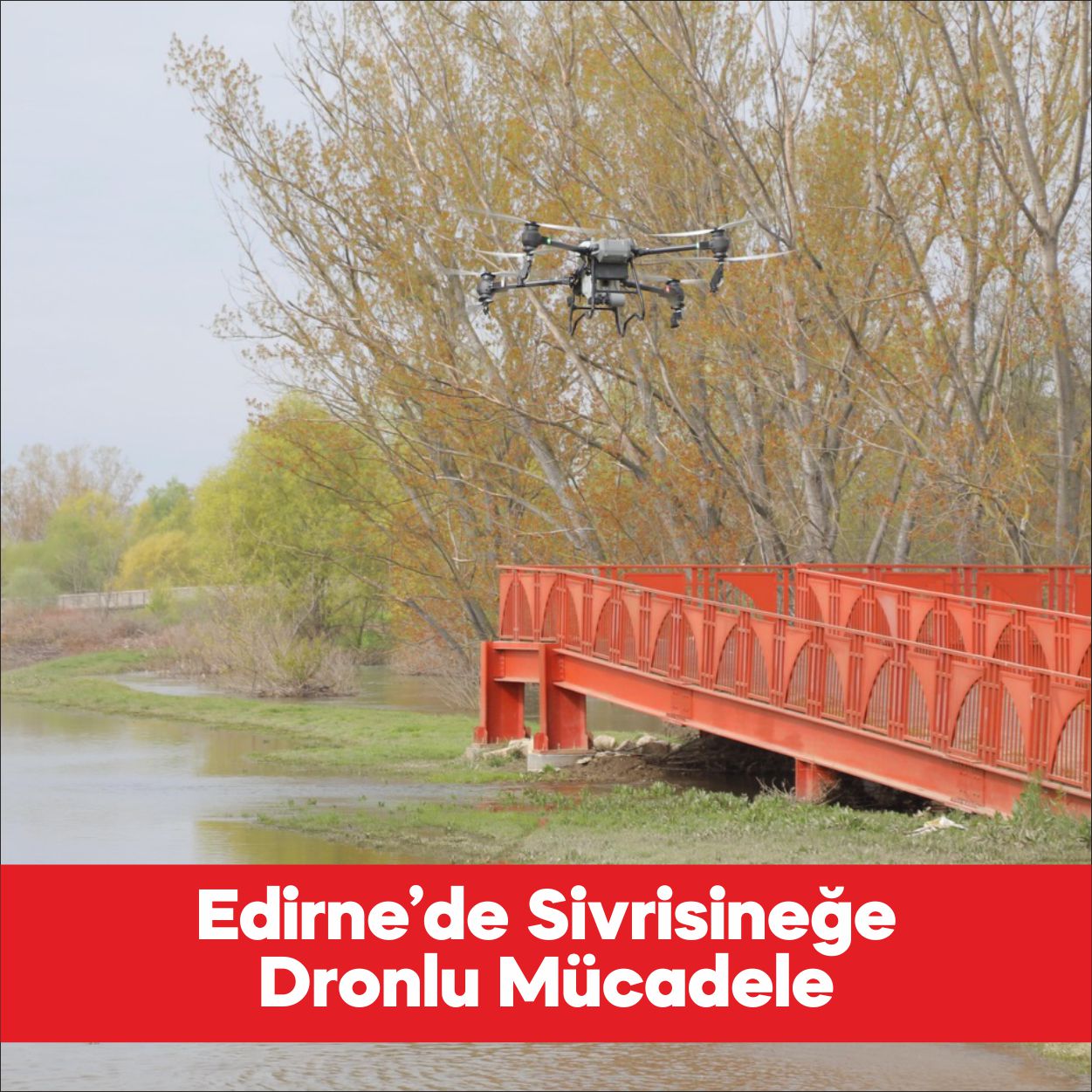Edirne’de taşkın alanında sivrisinekle mücadele çalışmaları dronla yapılıyor. Belediyeden yapılan