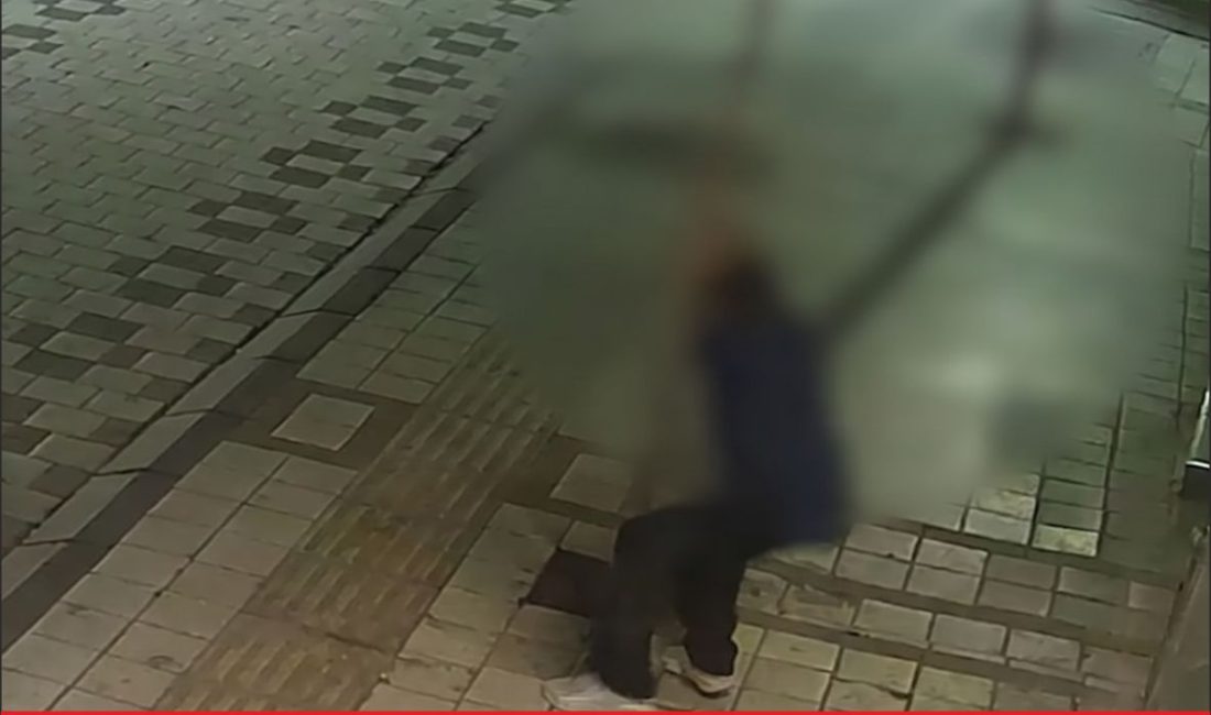 Kırklareli’nde kaldırımda dikili bir ağaca zarar veren kişi hakkında soruşturma
