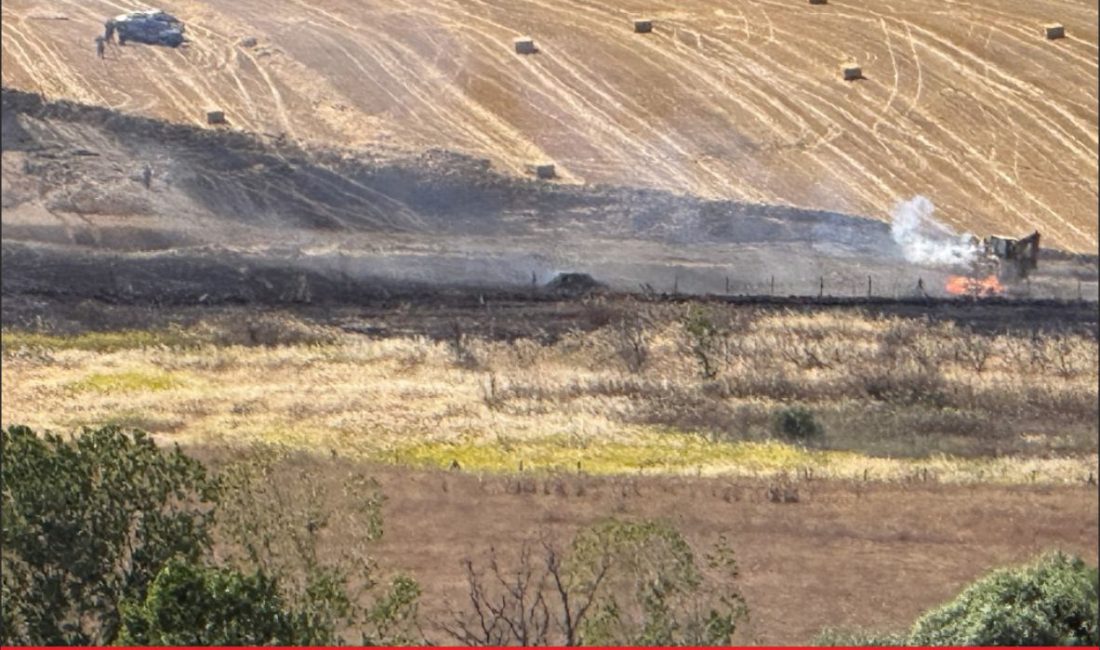 Tekirdağ’ın Çorlu ilçesinde çıkan yangında 80 dekar buğday ekili alan