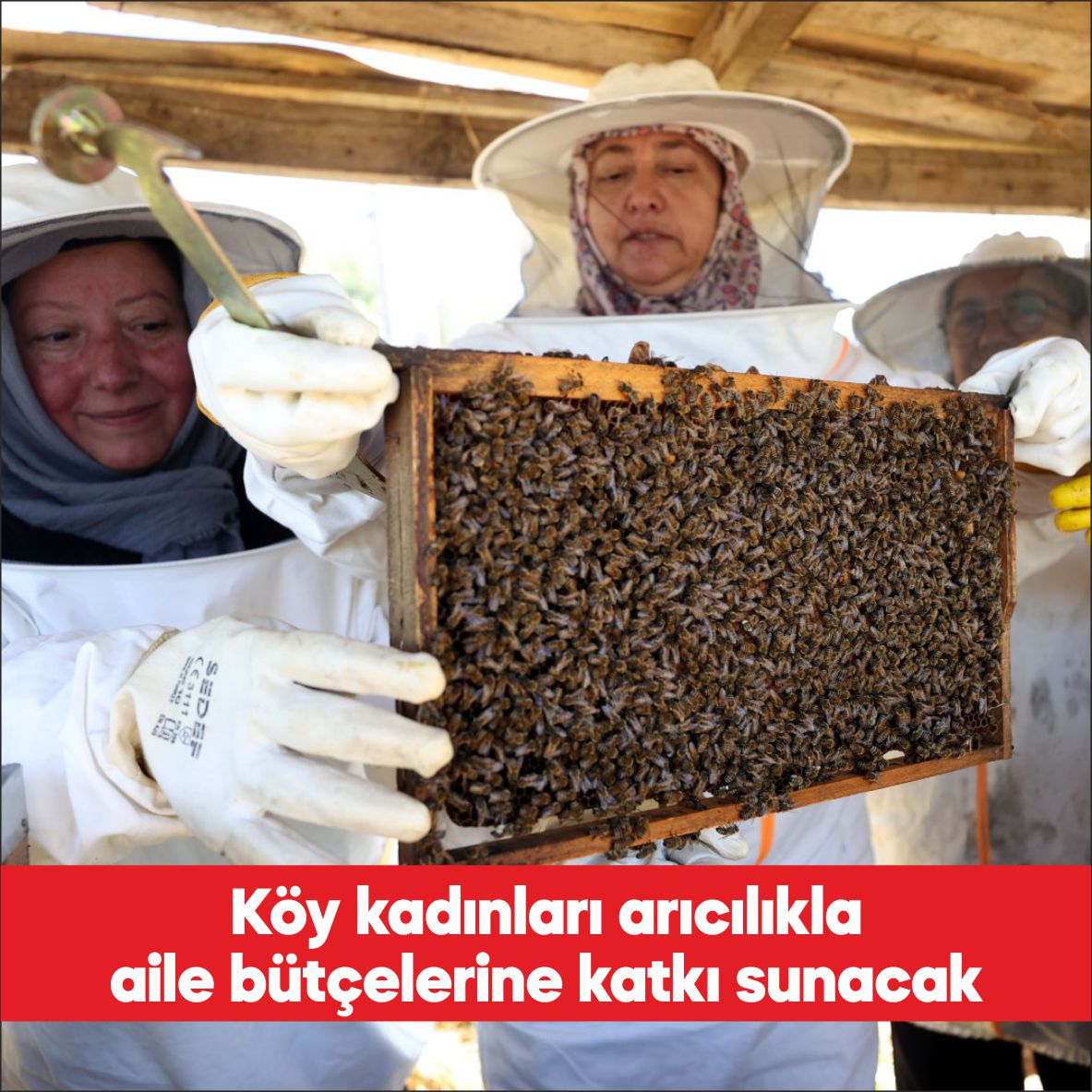 Kırklareli’nin Kula köyünde yaşayan kadınlar, aldıkları eğitimin ardından başladıkları arıcılıkla