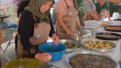 Kırklareli’nde düzenlenen 17. Yayla Bolluk, Bereket, Hasat ve Bağ Bozumu