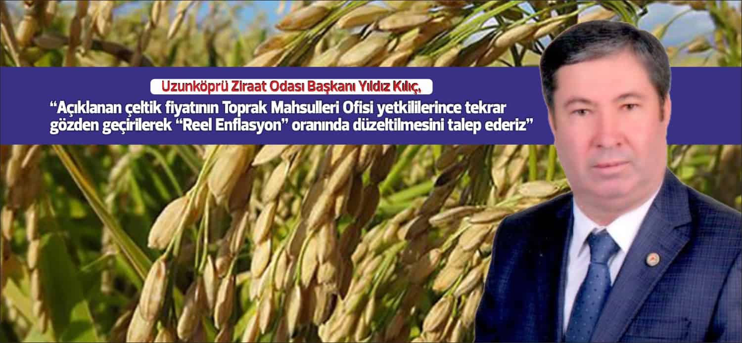 Uzunköprü Ziraat Odası Başkanı Yıldız Kılıç; “Açıklanan çeltik fiyatının toprak