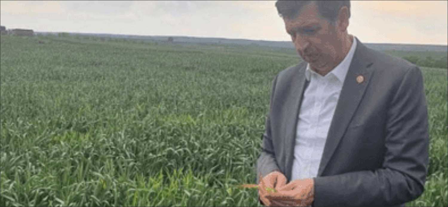 TBMM Tarım, Orman ve Köyişleri Komisyonu Üyesi ve CHP Edirne