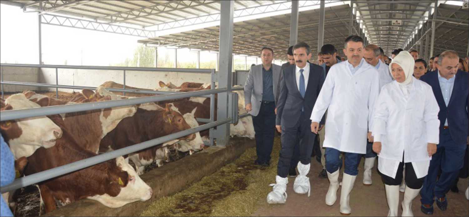 Tarım ve Orman Bakanı Bekir Pakdemirli, tarımsal destek ödemeleri kapsamında