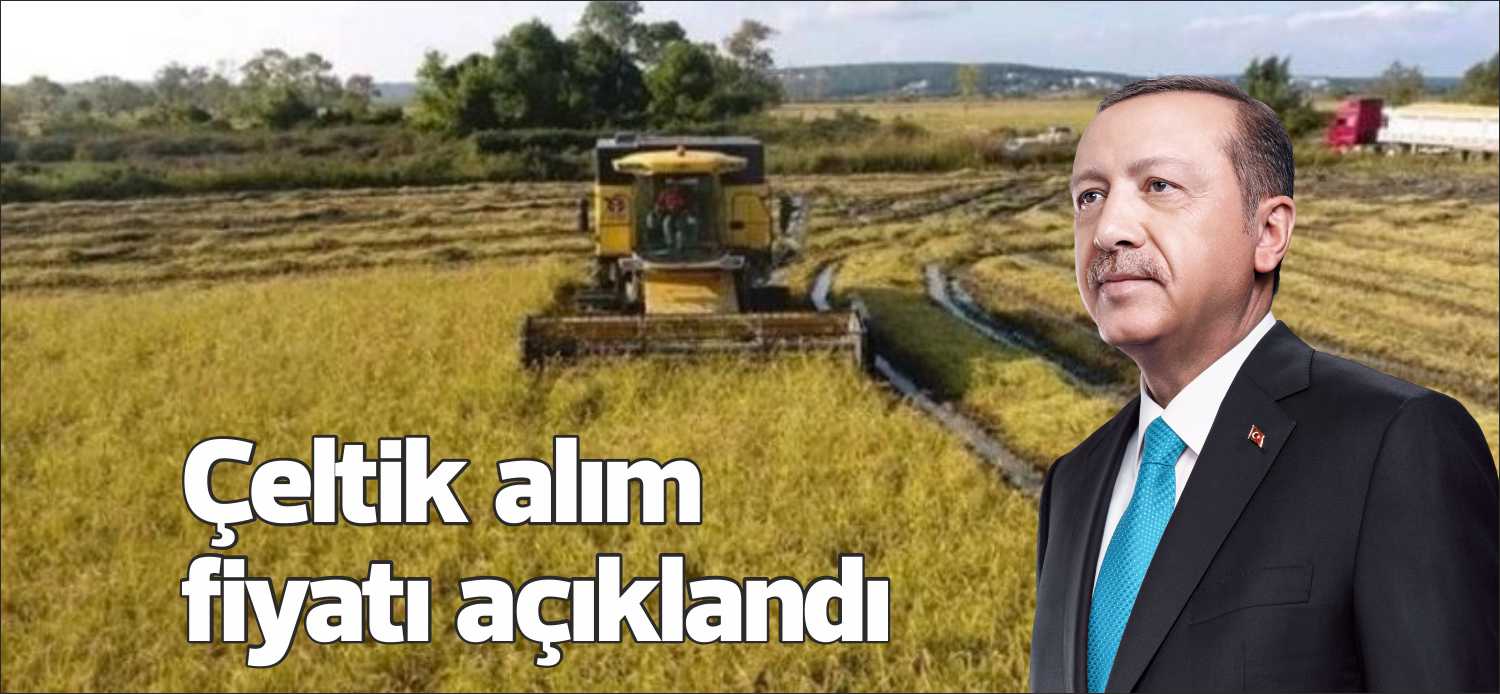 Kabine Toplantısının ardından önümüzdeki günlerde başlayacak çeltik hasadı için alım