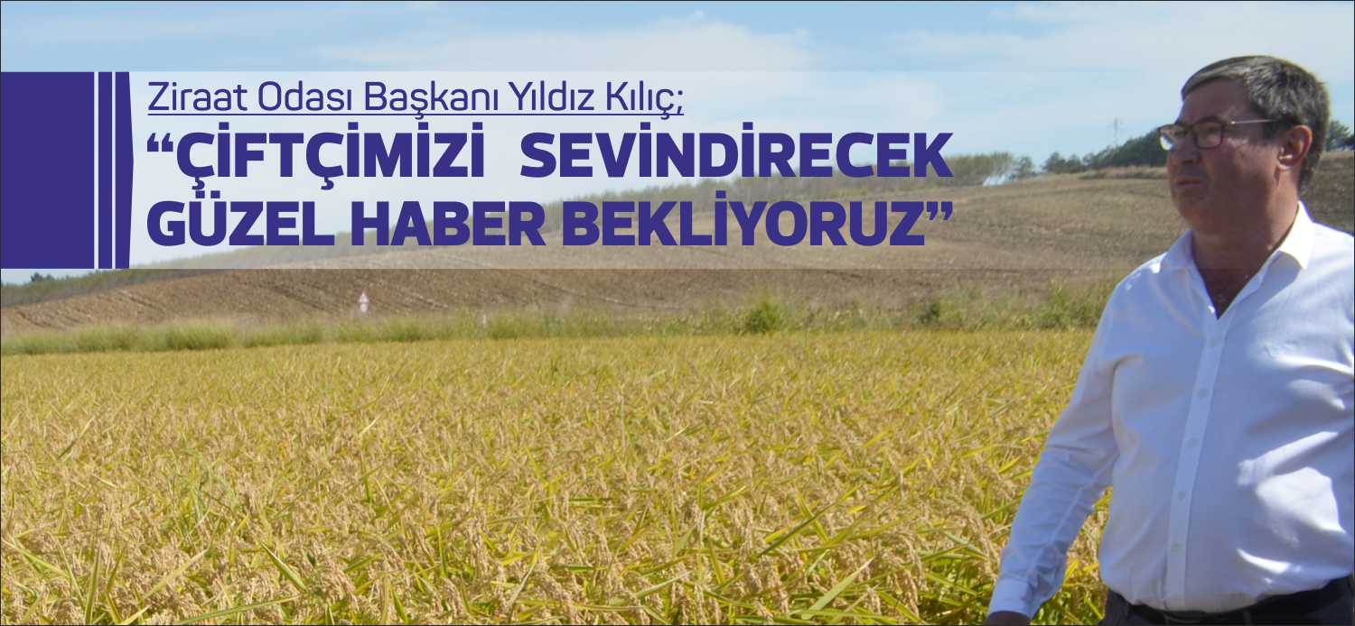 Uzunköprü Ziraat Odası Başkanı Yıldız Kılıç, döviz kurunda yaşanan düşüşün