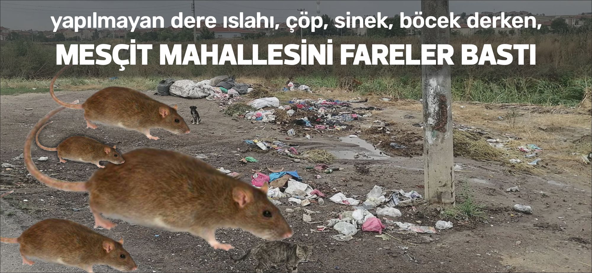 Mescit Mahallesi’nde yol kenarları ve dere yataklarında biriken çöpler büyük