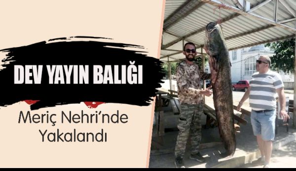 Edirne’nin İpsala ilçesinde, Meriç Nehri’nde amatör balıkçı Recai Ateş, yaklaşık