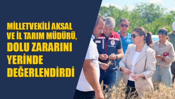 AK Parti Milletvekili Fatma Aksal, İl Tarım Müdürü Atilla Beyazıt