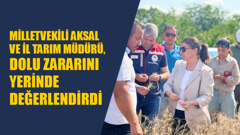 Milletvekili Aksal ve İl Tarım Müdürü, Dolu Zararını Yerinde Değerlendirdi AK Parti Milletvekili Fatma Aksal, İl Tarım Müdürü Atilla Beyazıt