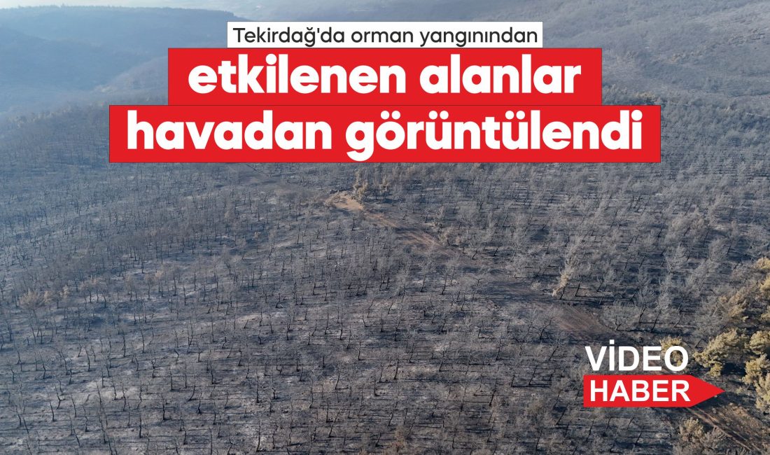 Tekirdağ'ın Şarköy ilçesindeki orman yangınına havadan ve karadan müdahale sürüyor.