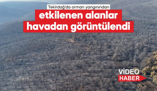 Tekirdağ'ın Şarköy ilçesindeki orman yangınına havadan ve karadan müdahale sürüyor.