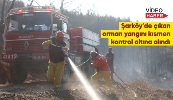 15 söndürme uçağı, 19 söndürme helikopteri, 500'e yakın kara aracı