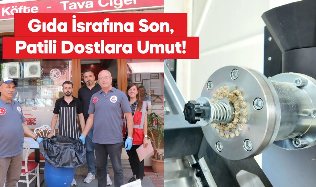20'den fazla restoran, artan yemekleri sokak hayvanlarıyla paylaşıyor.