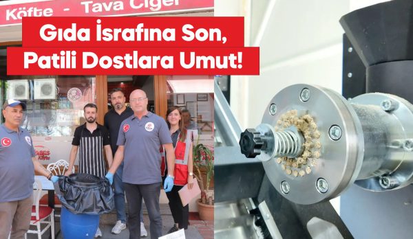20'den fazla restoran, artan yemekleri sokak hayvanlarıyla paylaşıyor.