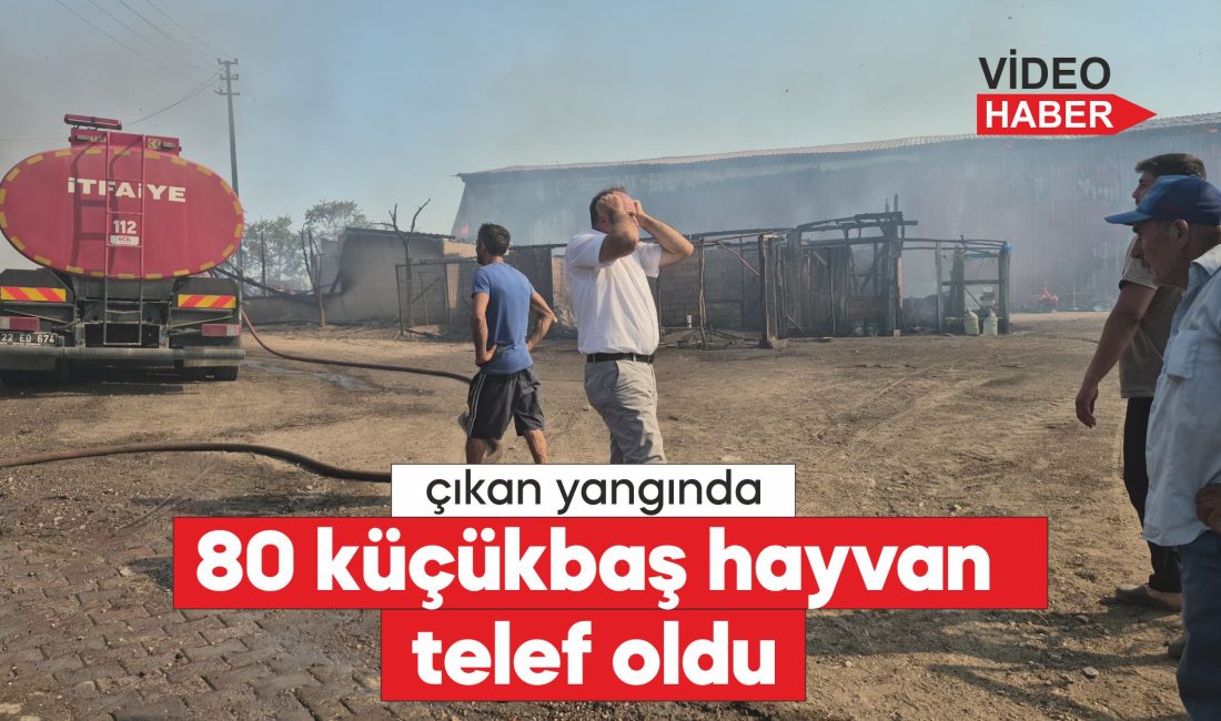 Hayvanlarını alevlerden kurtarmaya çalışan kişi yaralandı