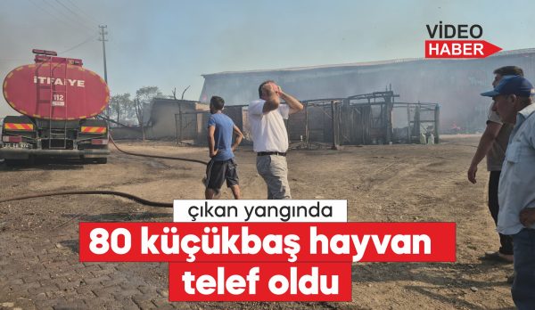 Hayvanlarını alevlerden kurtarmaya çalışan kişi yaralandı