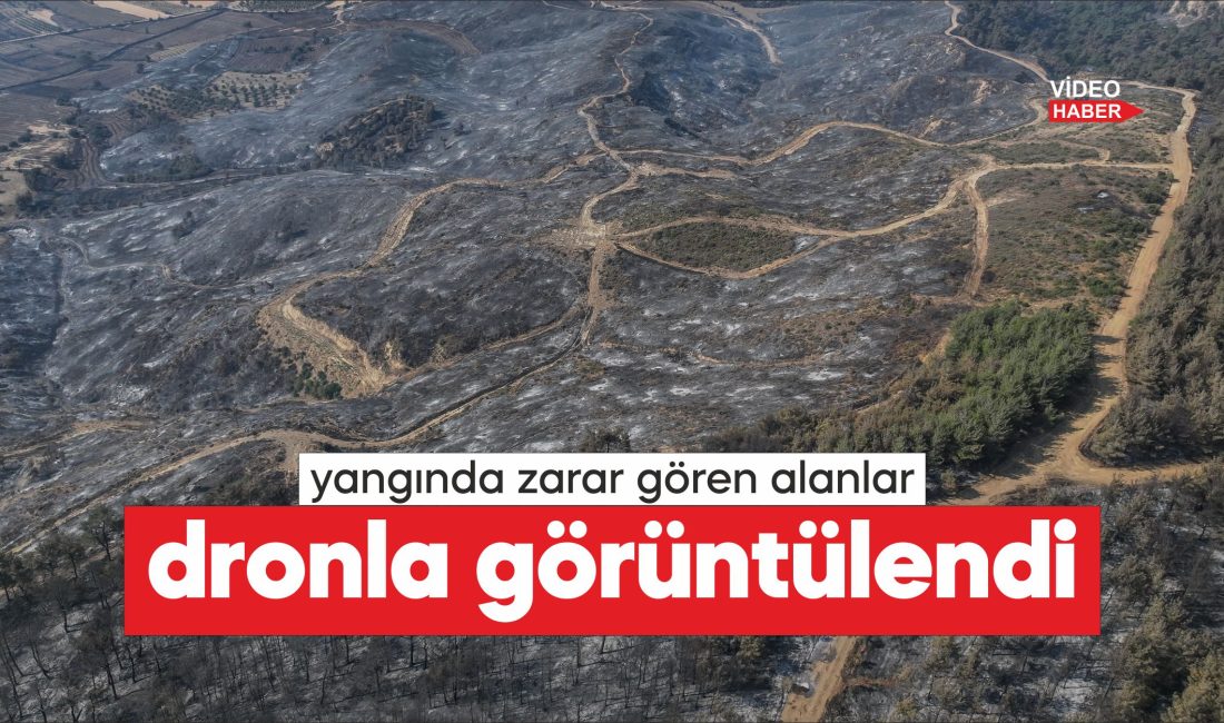 Çanakkale'nin Gelibolu ilçesindeki ormanlık alanda başlayıp Eceabat ilçesine ulaşan ve