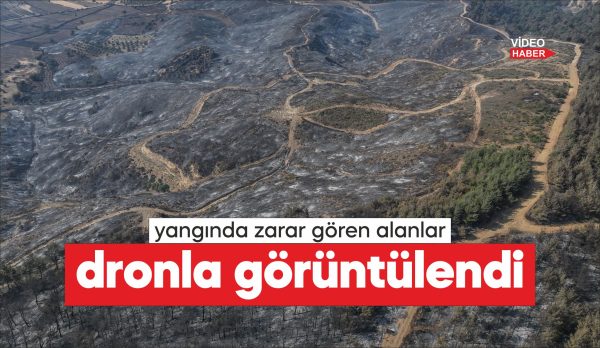 Çanakkale'nin Gelibolu ilçesindeki ormanlık alanda başlayıp Eceabat ilçesine ulaşan ve