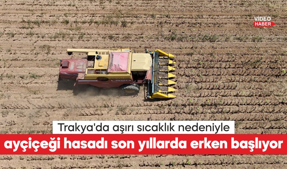 Türkiye'nin önemli ayçiçeği üretim merkezlerinden Trakya'da, ayçiçeği hasadı son yıllarda