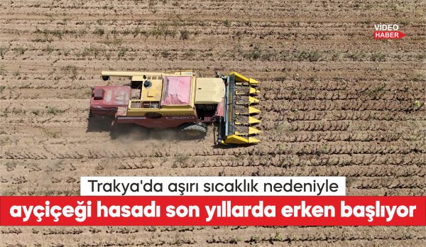 Türkiye'nin önemli ayçiçeği üretim merkezlerinden Trakya'da, ayçiçeği hasadı son yıllarda