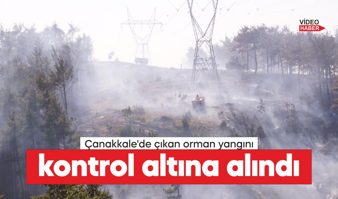 Çanakkale'de ormanlık alanda çıkan yangın havadan ve karadan müdahaleyle kontrol