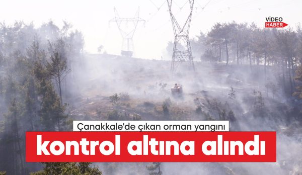 Çanakkale'de ormanlık alanda çıkan yangın havadan ve karadan müdahaleyle kontrol