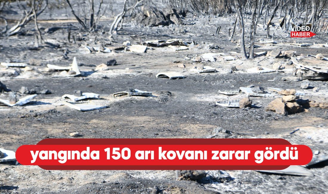 Çanakkale'nin Lapseki ilçesinde önceki gün çıkan arazi yangınında 150 arı