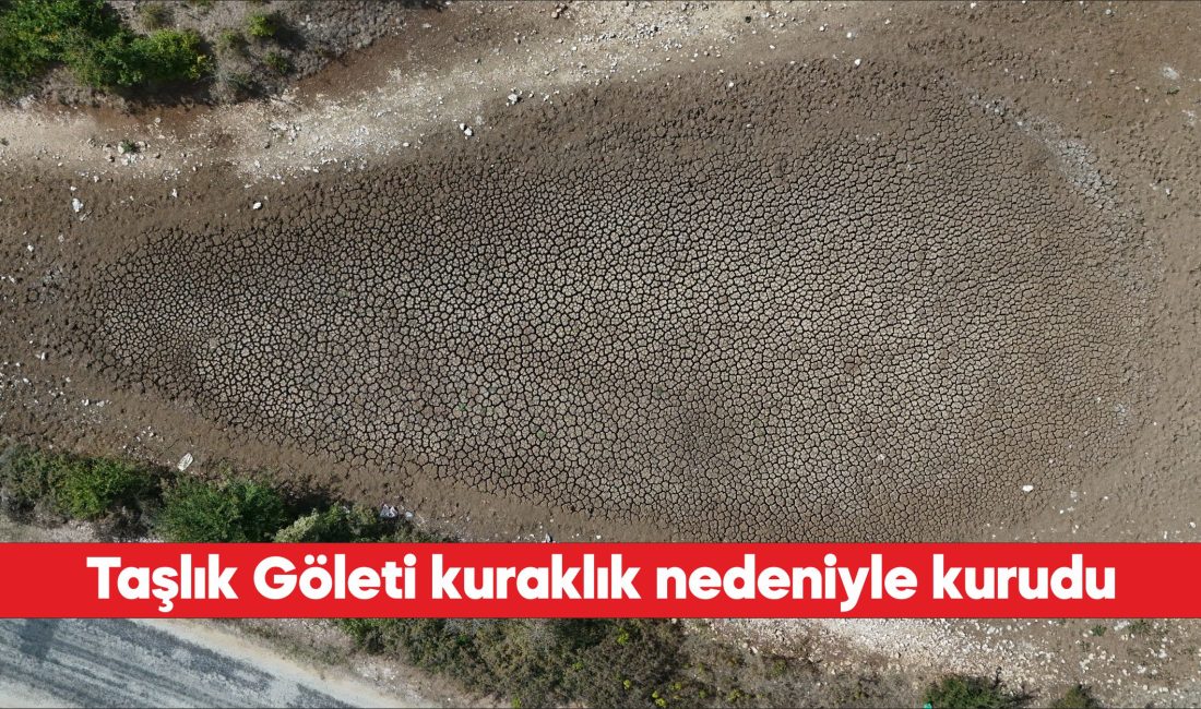 Kırklareli'ndeki Taşlık Göleti, kuraklık nedeniyle susuz kaldı.