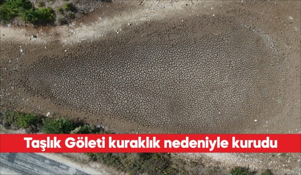 Kırklareli'ndeki Taşlık Göleti, kuraklık nedeniyle susuz kaldı.