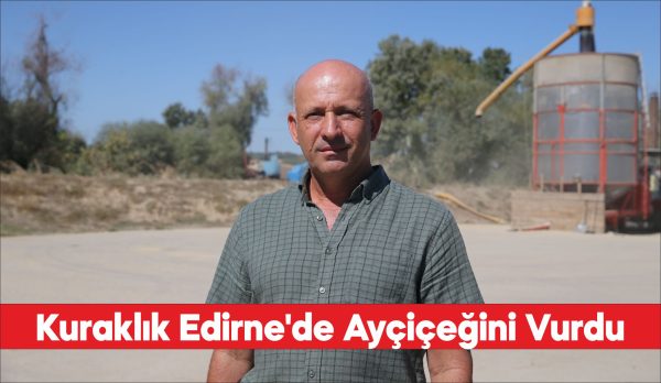 Edirne'de kuraklık ve sıcaklar bu yıl da ayçiçeğinde verimi düşürdü.
